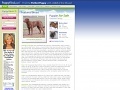 www.puppyfind.com
