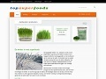 topsuperfoods.nl